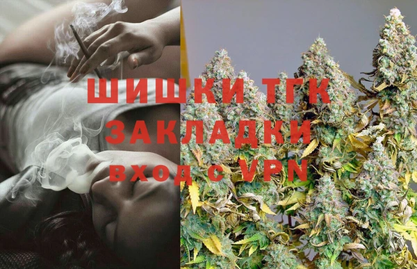 спиды Лиски