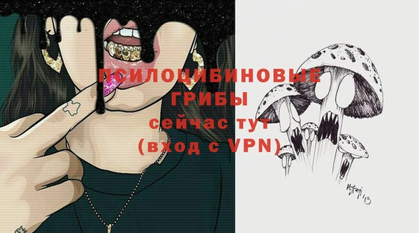 спиды Лиски
