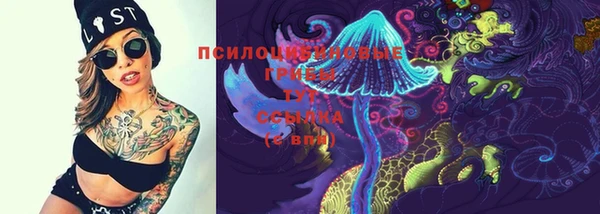 ПСИЛОЦИБИНОВЫЕ ГРИБЫ Лихославль