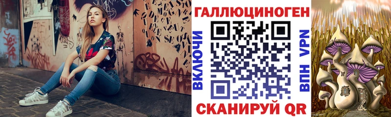 Галлюциногенные грибы Cubensis  купить наркотик  Магас 